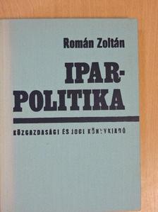 Román Zoltán - Iparpolitika [antikvár]