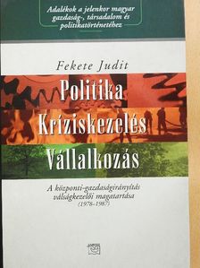 Fekete Judit - Politika - kríziskezelés - vállalkozás [antikvár]