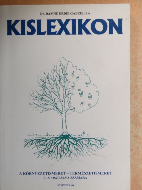 Dr. Dámné Erdei Gabriella - Kislexikon [antikvár]