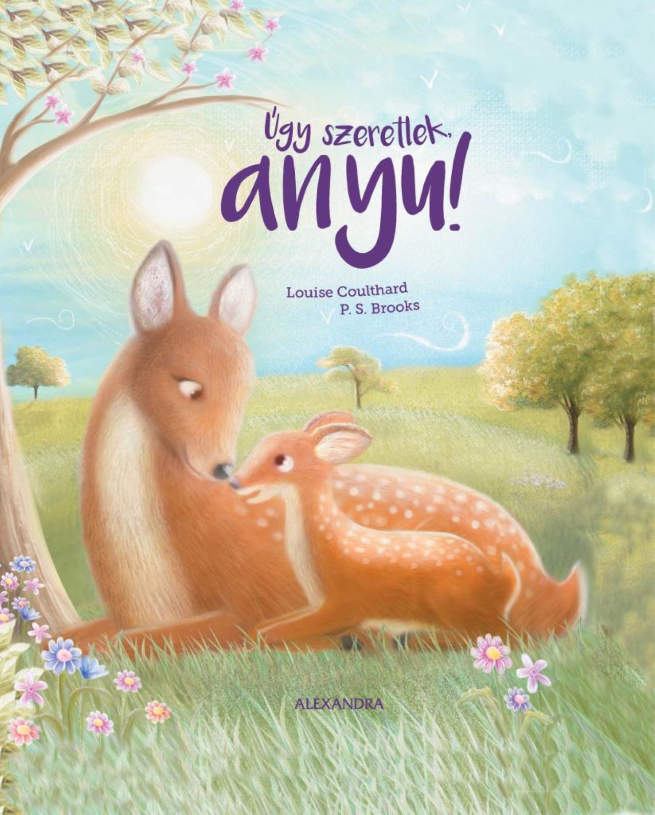 Louise Colthard-P.S. Brooks - Úgy szeretlek, anyu!