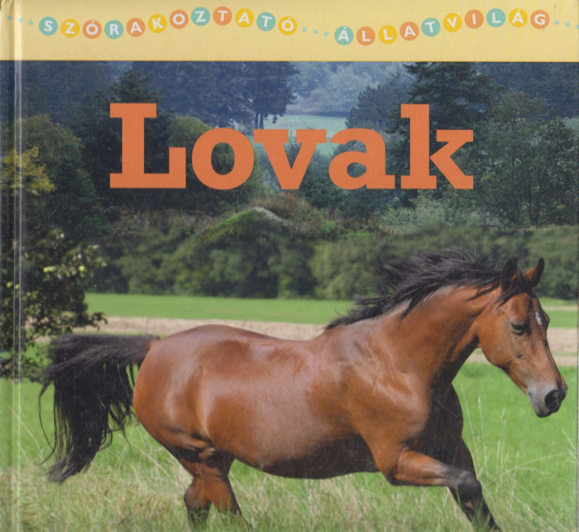 Christina Wilsdon - Lovak [antikvár]