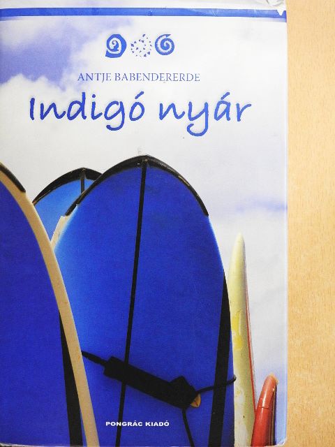 Antje Babendererde - Indigó nyár [antikvár]