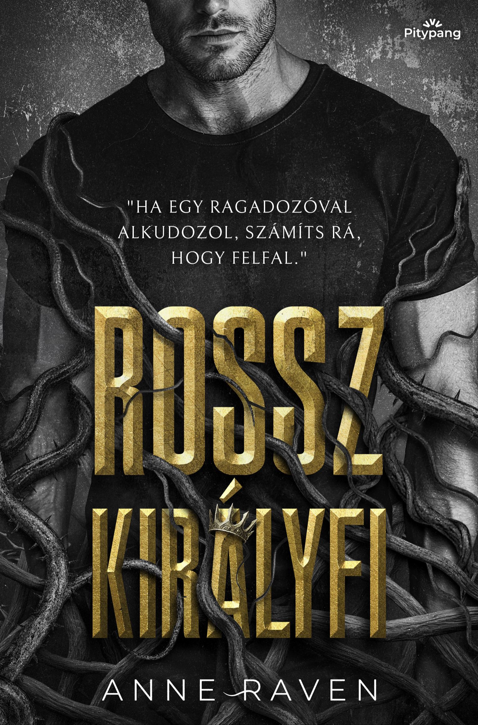 Anne Raven - Rossz királyfi [eKönyv: epub, mobi]