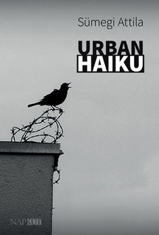 Sümegi Attila - Urban haiku