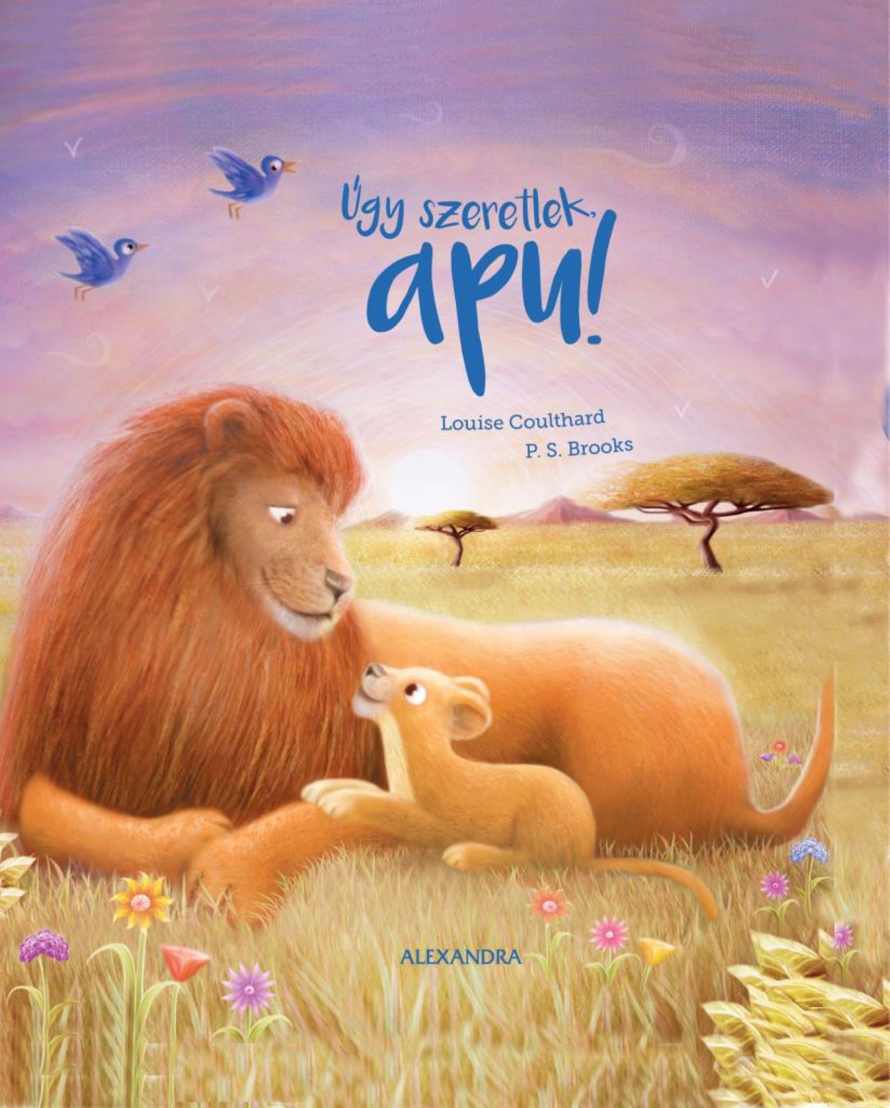 Louise Colthard-P.S. Brooks - Úgy szeretlek, apu!