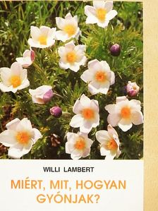 Willi Lambert - Miért, mit, hogyan gyónjak? [antikvár]