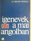Dr. Kocsis Mihály - Igenevek a mai angolban [antikvár]