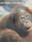 Vom Mammut Zum Gorilla [antikvár]