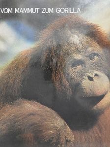Vom Mammut Zum Gorilla [antikvár]