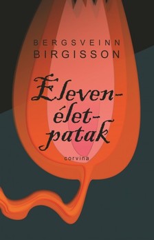Bergsveinn Birgisson - Elevenélet-patak [eKönyv: epub, mobi]