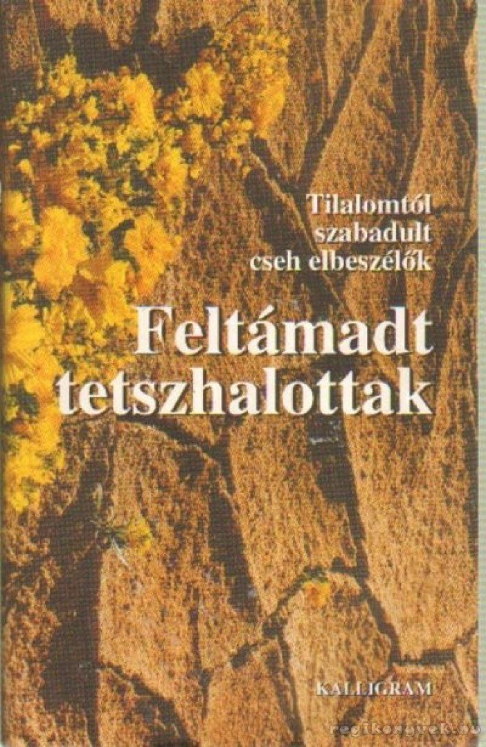Zádor András, Zádor Margit - Feltámadt tetszhalottak [antikvár]