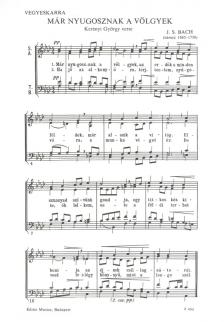 BACH, J.S. - LASSUS - MÁR NYUGOSZNAK A VÖLGYEK, SZERELMI PANASZ VEGYESKARRA