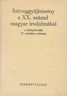 Diószegi András, Lakits Pál - Szöveggyűjtemény a XX. század magyar irodalmából [antikvár]