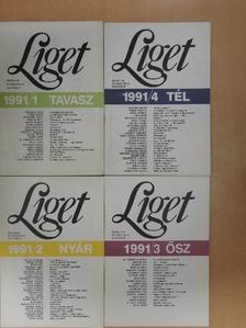 Aranyi László - Liget 1991. Tavasz-tél [antikvár]
