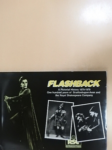 Micheline Steinberg - Flashback [antikvár]