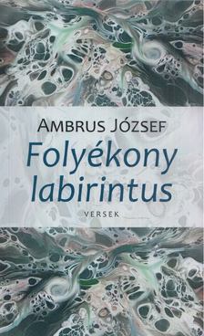 Ambrus József - Folyékony labirintus (aláírt) [antikvár]