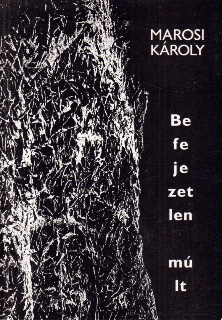 Marosi Károly - Befejezetlen múlt [antikvár]
