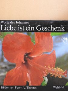 Szent János evangélista - Worte des Johannes [antikvár]