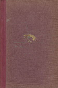 Bibó Lajos - A halott szerető [antikvár]
