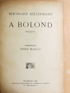 Bernhard Kellermann - A bolond [antikvár]