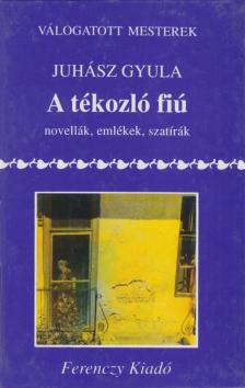 JUHÁSZ GYULA - A tékozló fiú [antikvár]