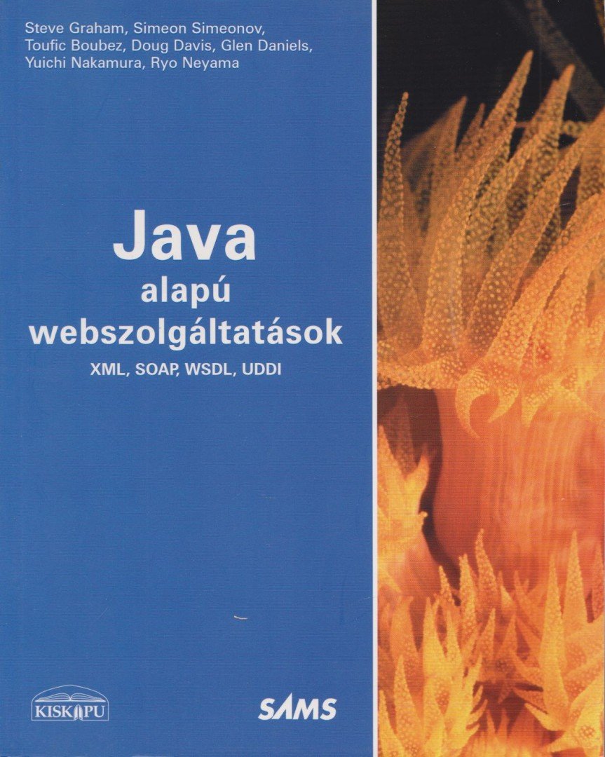 Szy György - Java alapú webszolgáltatások [antikvár]