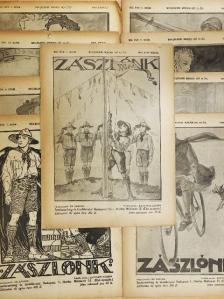 Dr. Karl János - Zászlónk 1922., 1926. (vegyes számok) (10 db) (rossz állapotú) [antikvár]