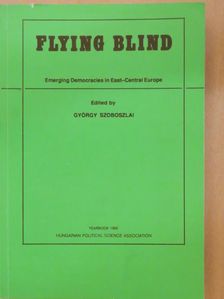 Ellen Comisso - Flying Blind [antikvár]