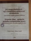 Kovács Anna - Jób megpróbáltatásai - egy evangélikus gyülekezet sorsfordulói [antikvár]