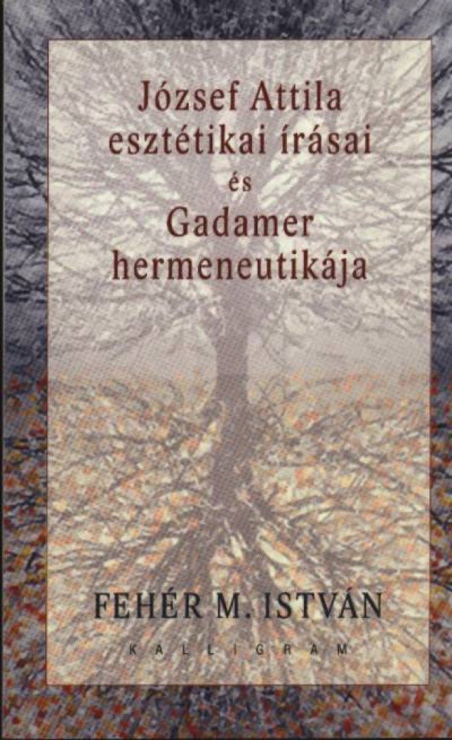 Fehér M. István - József Attila esztétikai írásai és Gadamer hermeneutikája [antikvár]