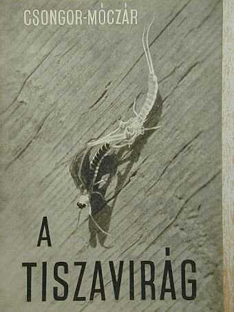 Csongor Győző - A tiszavirág [antikvár]