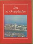 Hannig Miklós - Séta az Országházban [antikvár]