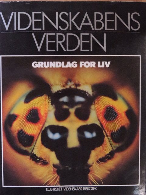 Grundlag for liv [antikvár]
