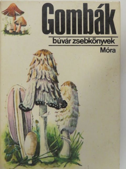 Dr. Kalmár Zoltán - Gombák [antikvár]