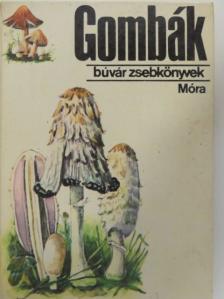 Dr. Kalmár Zoltán - Gombák [antikvár]