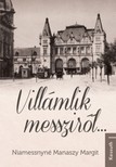 Niamessnyné Manaszy Margit - Villámlik messziről... [eKönyv: epub, mobi]