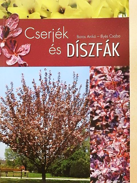 Boros Anikó - Cserjék és díszfák [antikvár]