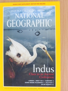 Cathy Newman - National Geographic June 2000 [antikvár]