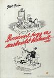 FÖLDI IVÁN - Bocsánat hogy a szerkesztő közbeszól [antikvár]