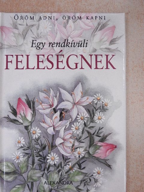 John Hervey - Egy rendkívüli feleségnek [antikvár]