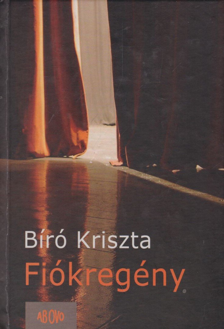 Bíró Kriszta - Fiókregény [antikvár]