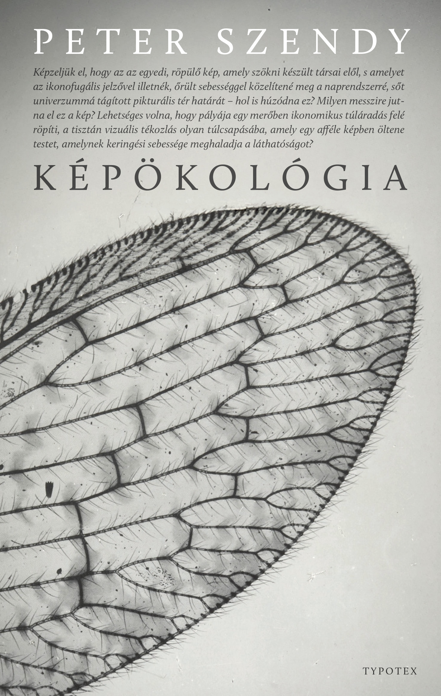 Peter Szendy - Képökológia [eKönyv: epub, mobi]