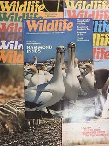 Wildlife January-December 1977.  [antikvár]
