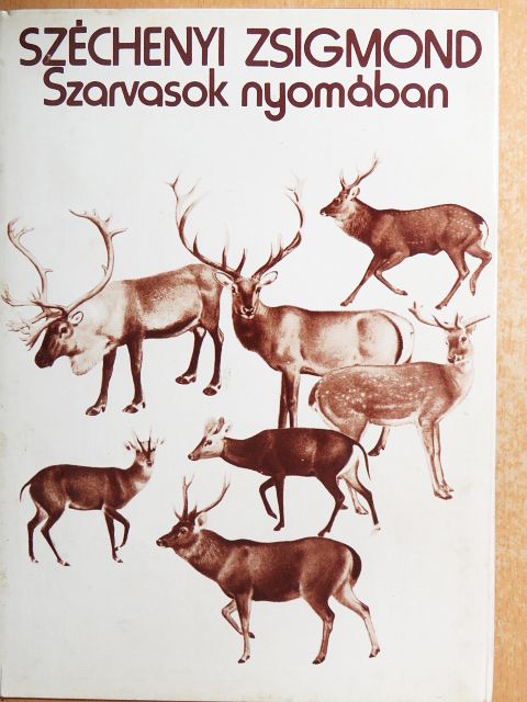 Széchenyi Zsigmond - Szarvasok nyomában [antikvár]
