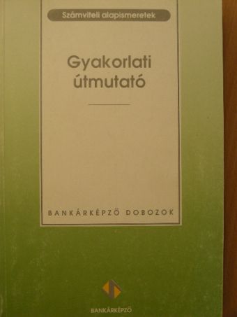 Dobákné Psenák Angéla - Gyakorlati útmutató [antikvár]