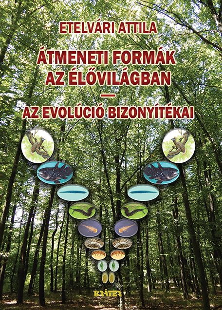 Etelvári Attila - Átmeneti formák az élővilágban