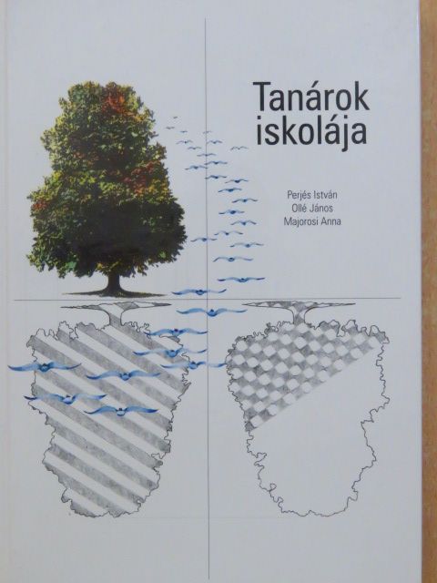 Majorosi Anna - Tanárok iskolája [antikvár]