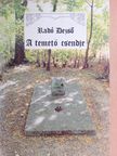 Dr. Radó Dezső - A temető csendje [antikvár]