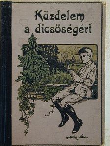 Ujfalussy Amadil - Küzdelem a dicsőségért [antikvár]