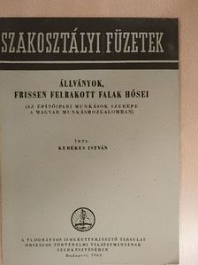 Kerekes István - Állványok, frissen felrakott falak hősei [antikvár]
